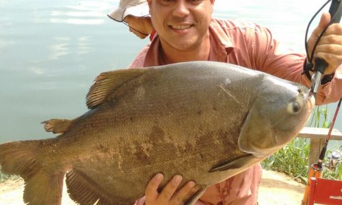 Copia de IMG-20160320-WA0009