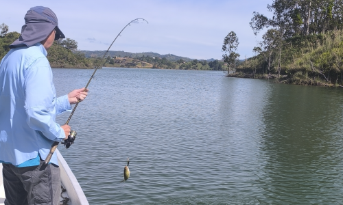 banneranglers2